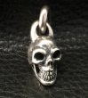 Photo5: Single Skull With Long O-ring Pendant (5)