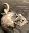 Photo14: Large Skull Full Head Pendant (Early model) (14)