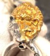 Photo3: Pure Gold Wrap Lion Pendant (3)