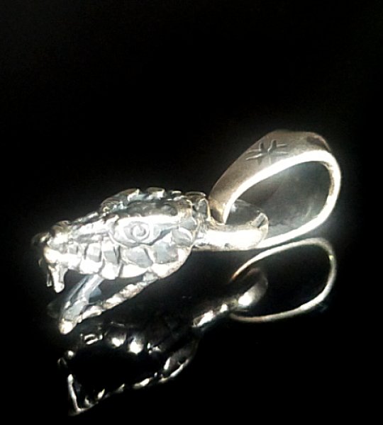 Photo1: Half Snake Head Pendant (1)