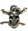 Photo11: Father of Ultra Skull Pendant (11)