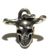 Photo10: Father of Ultra Skull Pendant (10)