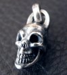 Photo13: Half Size Single Skull Pendant (13)