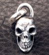 Photo6: Half Size Single Skull Pendant (6)