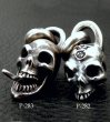 Photo12: Single Skull With Snake Tongue Pendant (12)