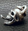 Photo5: Single Skull With Snake Tongue Pendant (5)