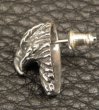 Photo11: Quarter Eagle Pierce (11)