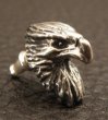 Photo4: Quarter Eagle Pierce (4)