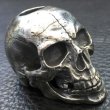 Photo13: Old Large Skull Pen Stand (13)