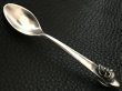 Photo7: Skull on Tea Spoon (7)