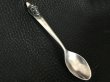 Photo5: Skull on Tea Spoon (5)