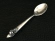 Photo11: Skull on Tea Spoon (11)