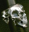 Photo18: Xconz collaboration 4 Face Skull Ring (18)