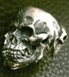 Photo2: Xconz collaboration 4 Face Skull Ring (2)