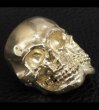 Photo4: Xconz Collaboration Gold Double Face Medium Lage Skull Ring (4)