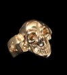 Photo1: Gold Single Skull Ring (1)