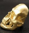 Photo6: Gold Large Skull H,W,O Ring [Pure Gold Color Finish] (6)