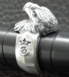 Photo10: Eagle Ring (10)