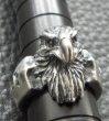 Photo6: Eagle Ring (6)