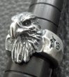 Photo5: Eagle Ring (5)