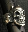 Photo16: Single Devil Skull Ring (16)