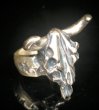 Photo9: Buffalo Skull Ring (9)