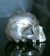 Photo8: Large Skull Full Head Ring Without Jaw (8)