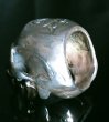 Photo17: Large Skull Full Head Ring Without Jaw (17)