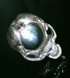 Photo14: Large Skull Full Head Ring Without Jaw (14)