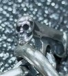 Photo6: Panther With Skull Triangle Wire O-ring & T-bar Ring (6)