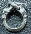 Photo1: Panther With Skull Triangle Wire O-ring & T-bar Ring (1)