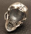 Photo17: Half Large Skull Full Head Ring (17)