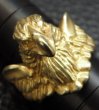 Photo9: Gold Half Eagle With Wing Ring (9)