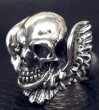 Photo6: Skull Wing Ring (6)