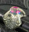 Photo2: Mysteric Crystal Master Predator Ring (2)